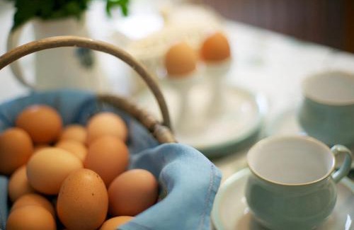 Lanark House | The Bothy