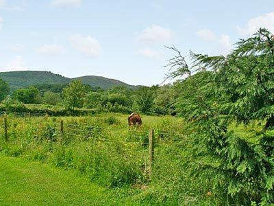 Little Malvern House | The Bothy