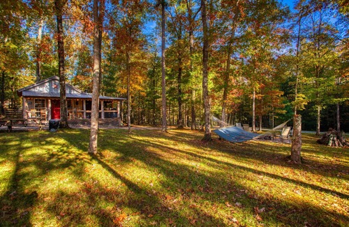 Jamestown Cabin | The Cabin at Crockett Creek