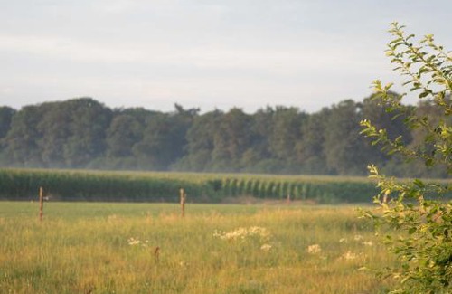 Municipality of Oost Gelre Bed & Breakfast | The Cat and The Owl B&B