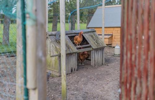 Willesborough House | The Coach House