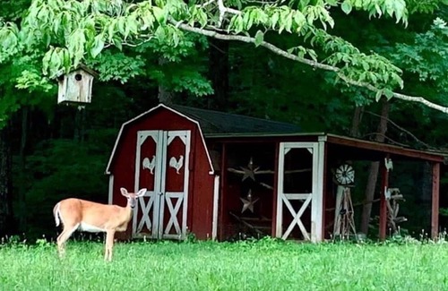Cookeville House | The Dabbling Duck…Pet Friendly, Fenced Yard, Kayaking, Farm Stay, Hot Tub, Pond