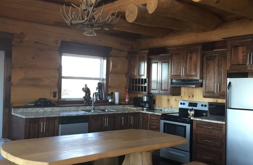 Terra Nova House | "The Duck" Cedar Log Home Rental - Sleeps 12!