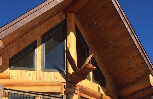Terra Nova House | "The Duck" Cedar Log Home Rental - Sleeps 12!