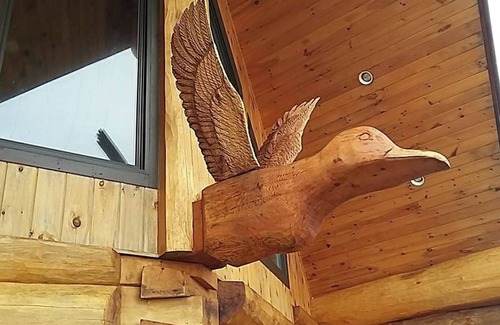 Terra Nova House | "The Duck" Cedar Log Home Rental - Sleeps 12!