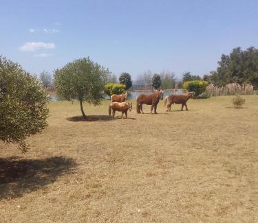 Magaliesberg House | The Gaia House Magaliesburg