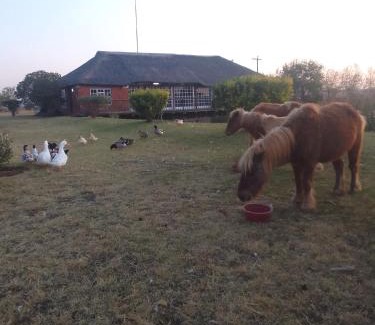 Magaliesberg House | The Gaia House Magaliesburg