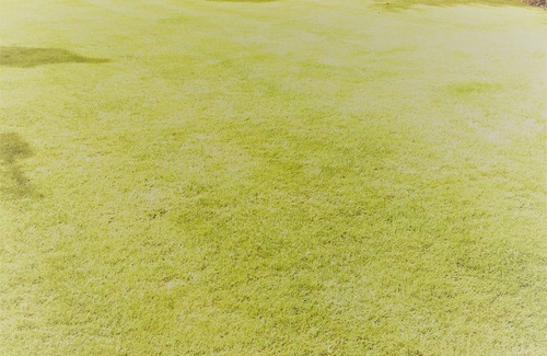 Gainsborough Apartment | The Garden Room - Garden Views