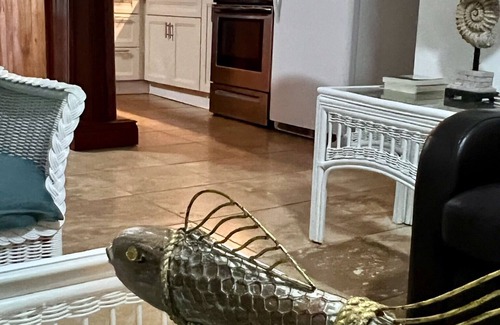 Port Howe House | The Gatehouse – Ultra-Private Oceanfront Villa + Pool + Starlink WiFi + Kayaks