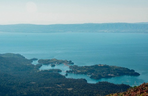 Halibut Cove Cabin | The Green Cabin