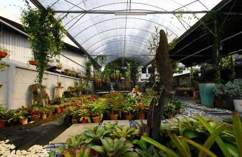 Kuching House | The Green Cottage