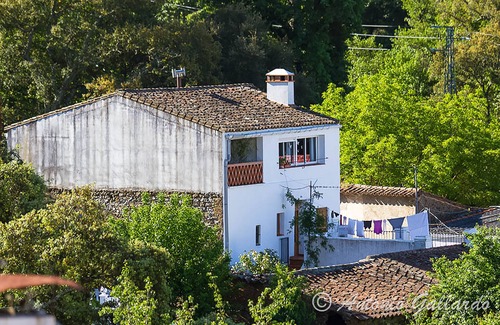 Jabugo Cottage | The Green Frog, families with children, nature, hiking, gastronomy, culture.