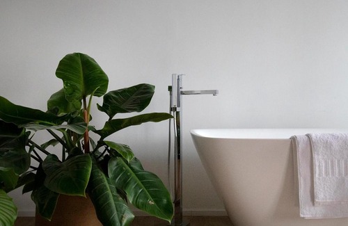 Sint-Andries Bed & Breakfast | The Greenhouse