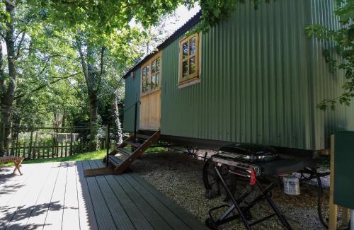 New Forest District House | The Happy Hut
