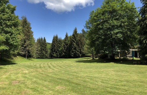 Villa Bascilica House | The holiday home in the woods