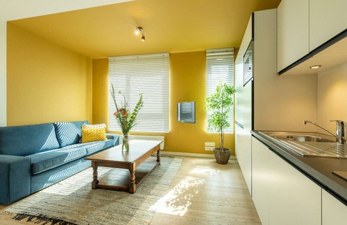 Antwerp Apartment | The India Yellow Studio