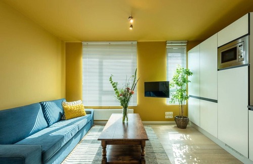 Antwerp Apartment | The India Yellow Studio