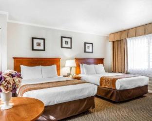 Munras Avenue Hotel | The Inn at 1252 Monterey