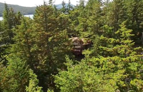 Rosario House | The Island Treehouse