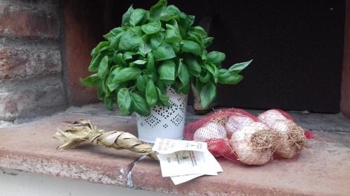 San Salvatore Bed & Breakfast | The italian riviera