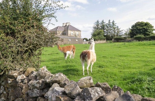 Ballyshannon House | The Lazy Llama Shepherd Hut Campview Farm Stay