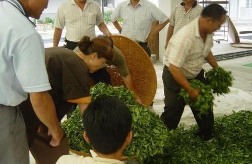 Luye House | The LianFamily Teahouse B&B台東民宿001號