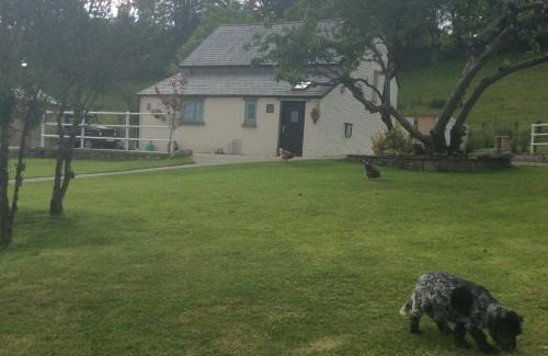 Mawr House | The Little cow shed