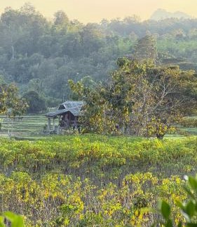 Mueang Pan House | The Little Earth Farm View