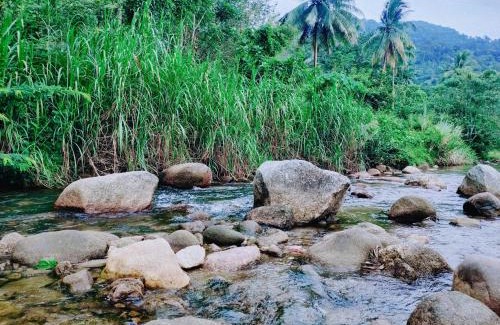 Lan Saka Bed & Breakfast | The Lodge At The Creek Haus