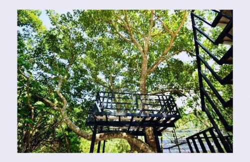 Lan Saka Bed & Breakfast | The Lodge At The Creek Haus