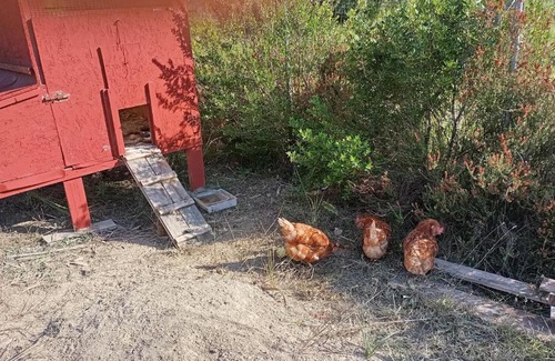 Notos Apartment | The lodge