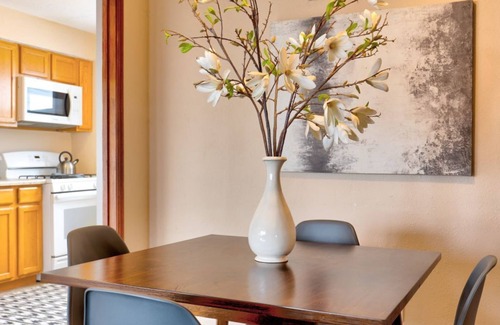 University City House | "The Loop" 10min walk: Restaurants + Bars, Wash U