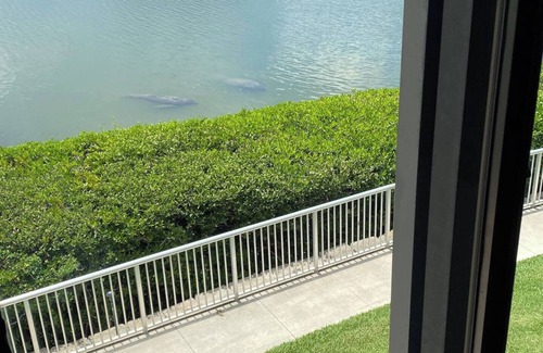 Bethune Beach Condo | The Manatee Mangrove Cove at the Beach.