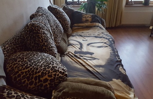 Landlust Apartment | The Moneyhouse in Amsterdam