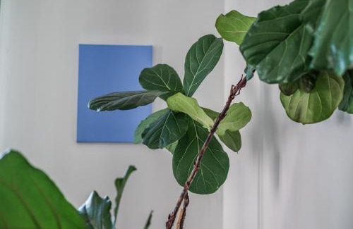 Isola Apartment | tHE Morning Sound - Isola Premium Penthouse