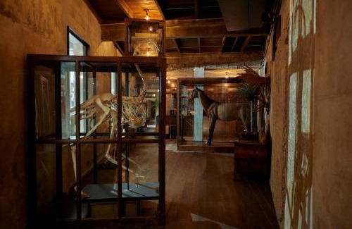 China Town Hotel | The Mustang Blu