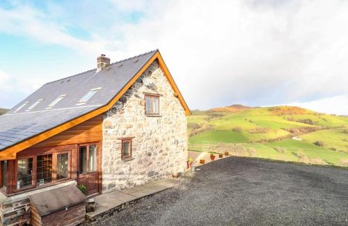 Llanidloes House | The Old House