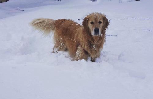 Chelynch Bed & Breakfast | The Old Stables Bed & Breakfast