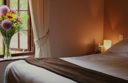 Usk Hotel | The Olway Inn