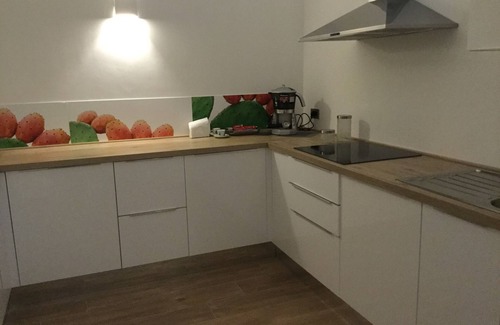 Palese Apartment | The open red tulip