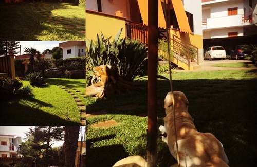 Palese Apartment | The open red tulip