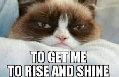 Cosby Cottage | The Perfect Balance of Seclusion and Excitement in the Smokey's