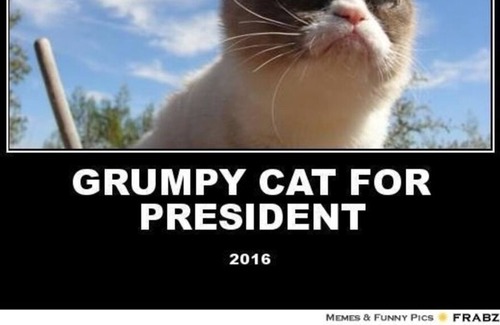 Cosby Cottage | The Perfect Balance of Seclusion and Excitement in the Smokey's