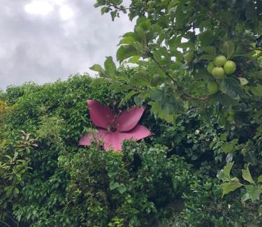 Carlow House | The Piano House