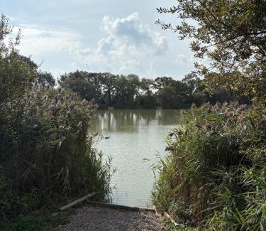 Chichester Resort | The Restful Rose at Chichester Lakeside