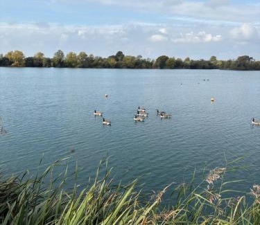 Chichester Resort | The Restful Rose at Chichester Lakeside