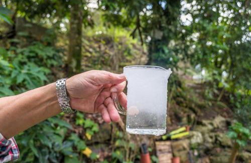 Puli House | The Rippling Vale Homestay