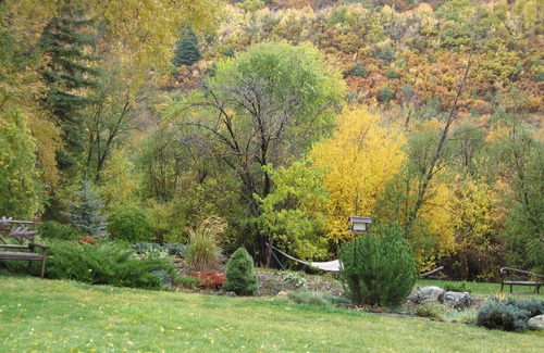 Valdez Cottage | The Sloping Porch Guest Cottage @ Rio Hondo Vally Alpacas-No Cleaning Fee