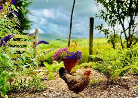Kendal House | The Studio at Pinethwaite