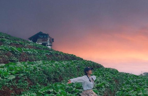 Mae Rim House | The sun Sky monjam เดอะซัน สกาย ม่อนแจ่ม